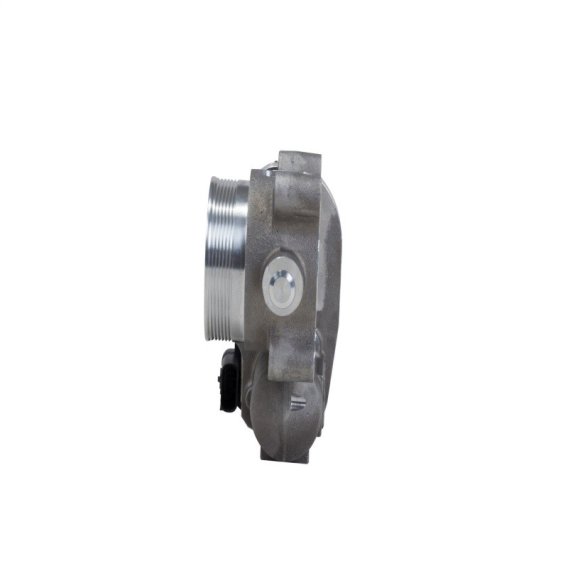 BBK Throttle Bodies