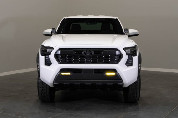 DIO Fog Lights