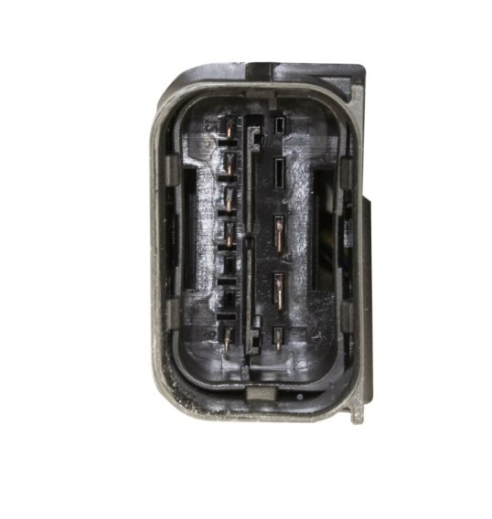 HELLA Halogen Bulb