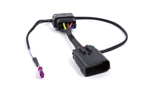 DIO Wiring Harness