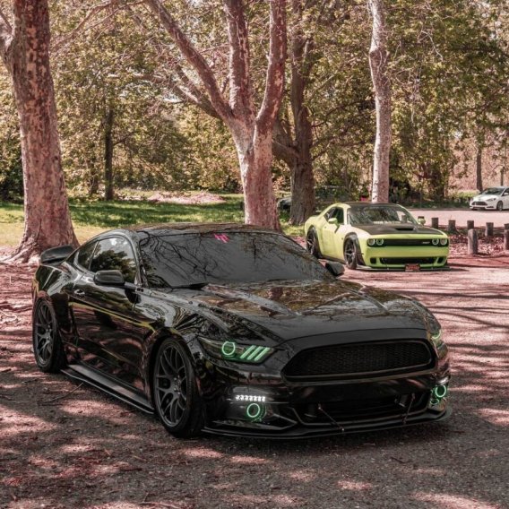 ORL DRL Headlight Kits w/Halos