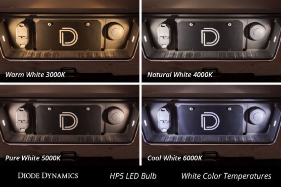 DIO Replacement Bulbs