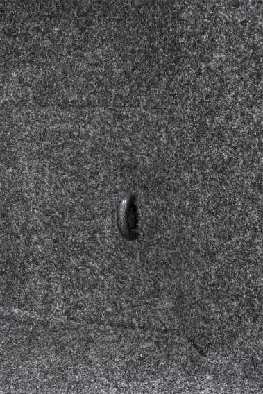 BED Bedliner