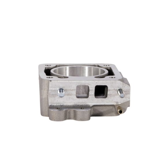 BBK Throttle Body EGR Plate