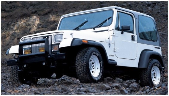 BUS Extend-A-Fender Flares