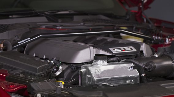 MM Strut Braces