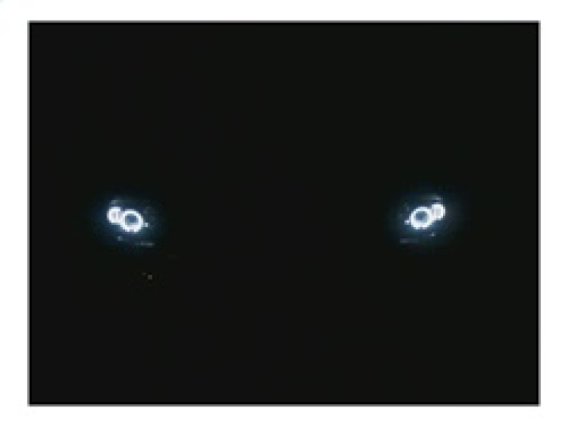 SPY Headlights