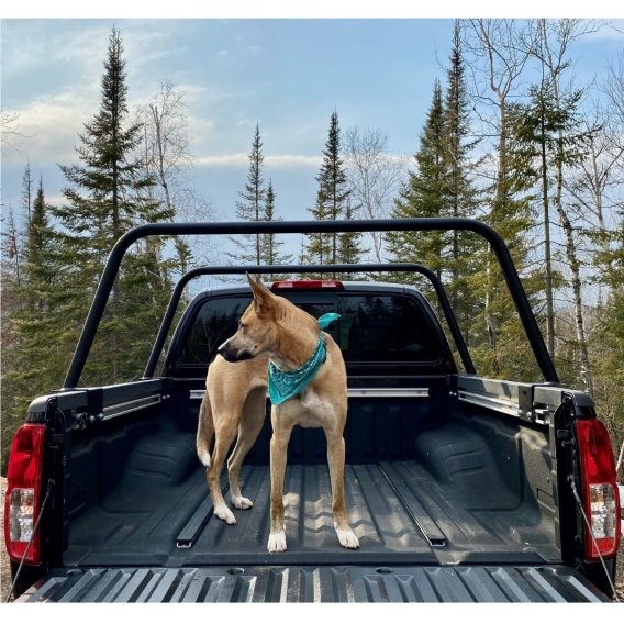 Frontier Bed Bar 23 Inch Softopper 05-22 Frontier Pair  Bare Steel Heavy Metal Off-Road