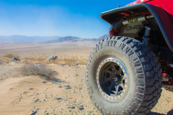 DVE Fenders