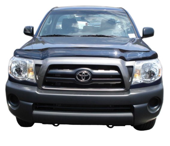 AVS Bugflector II Shield