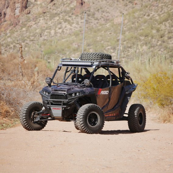 RIG Adapt