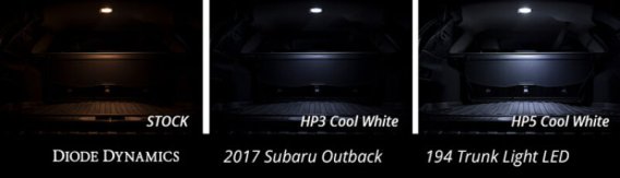 DIO Replacement Bulbs