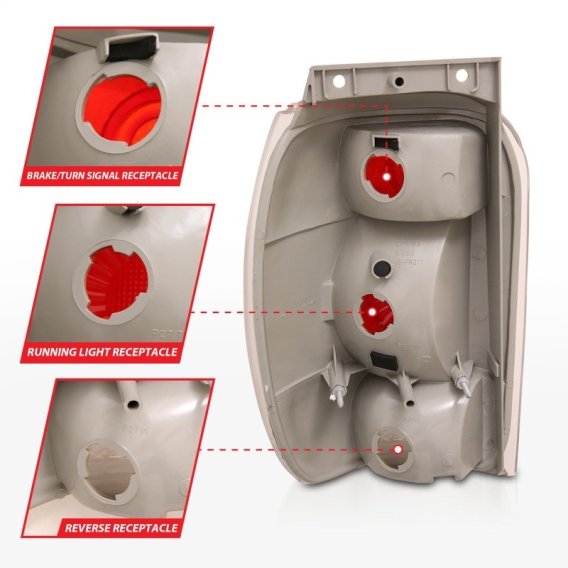 ANZ Taillights