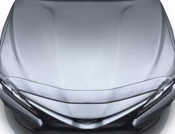 AVS Aeroskin Shield - Chrome