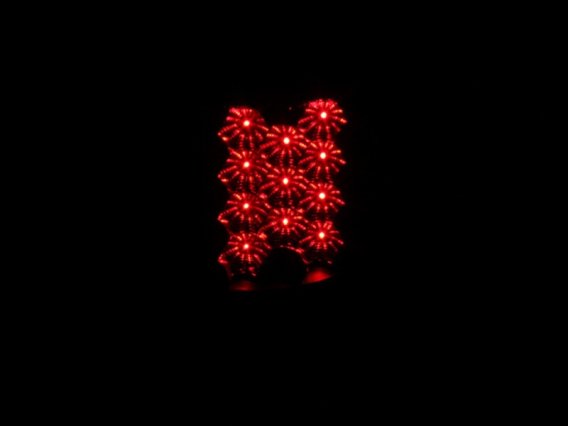 ANZ LED Taillights