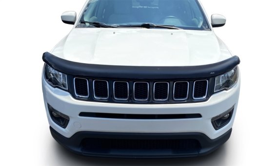 AVS Carflector Shield