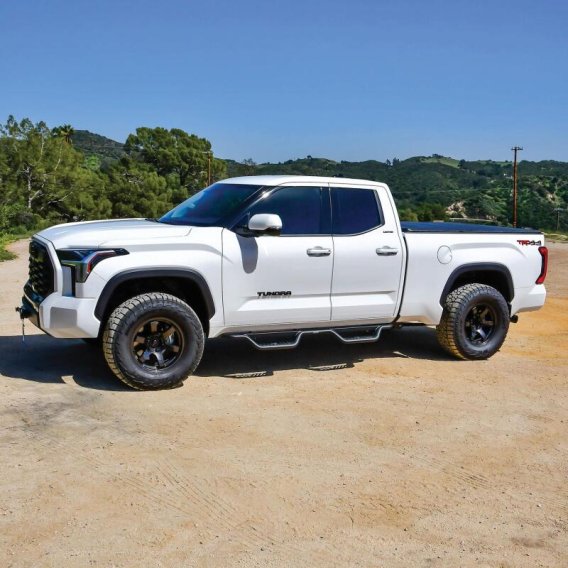 WES Nerf Bars - Outlaw