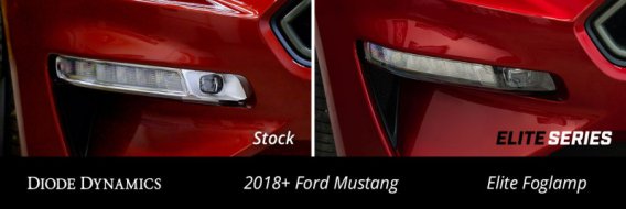 DIO Fog Lights