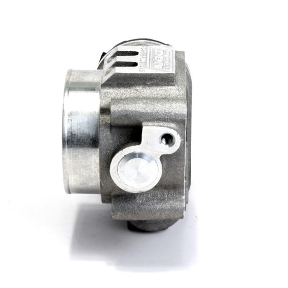 BBK Throttle Bodies
