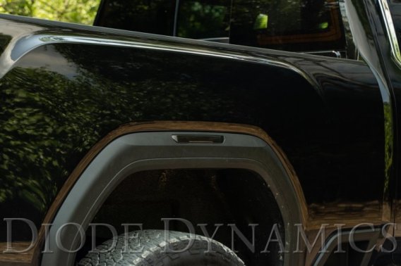 DIO Side Marker Light Assembly