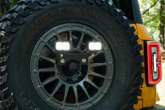 DIO Backup Light