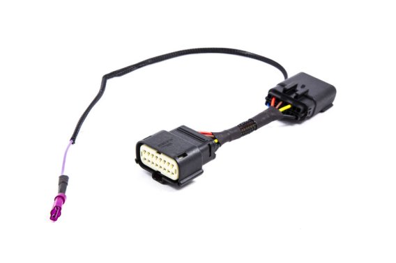 DIO Wiring Harness