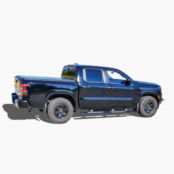 WES Nerf Bars - PRO TRAXX 4