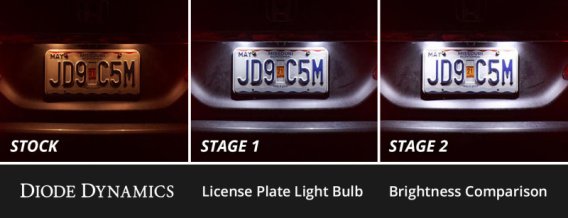 DIO LED Interior Kit