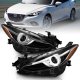 ANZ Projector Headlights