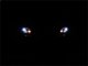 SPY Headlights