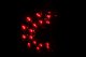 ANZ LED Taillights