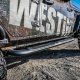WES Nerf Bars - Platinum 4
