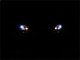 SPY Headlights