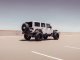 RDA Stealth Rear Fender Flares
