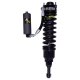 Bilstein Shock Absorbers