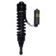 Bilstein Shock Absorbers