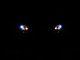 SPY Headlights