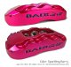Brake System 11.625 Inch Front SS4+ Deep Stage Drag Race Clear BAER Brakes