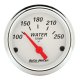 AM Arctic White Gauges