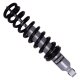 Bilstein Shock Absorbers