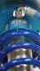 SLF Shocks