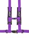PRP 4.2 Harness