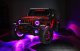 ORL Fog Light Assembly