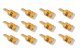 DIO Replacement Bulbs