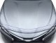 AVS Aeroskin Shield - Chrome