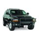 WES Sportsman Grille Guards