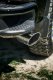 MBRP DPF Back Exhaust AL