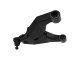 ICO Lower Control Arms