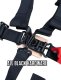 PRP 4.2 Harness