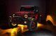 ORL Fog Light Assembly
